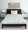 Green Floral 144 TC Cotton Single Bedsheet with Pillow Cover