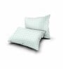 Green Abstract 180 TC Cotton King Bedsheet with 2 Pillow Covers