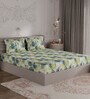 Green Abstract 300 TC 100% Cotton King Sized Bedsheet With 2 Pillow Covers Amorous Collection