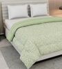 Green and Brown Polyester Solid 200 GSM Double Bed Comforter