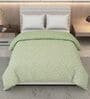 Green and Brown Polyester Solid 200 GSM Double Bed Comforter