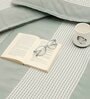 Green and Grey Solid 210 TC Cotton Queen Sized 1 Double Bedsheet 2 Pillow Covers
