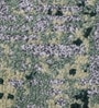 Green Anil Modern Pile 5X7 Ft Carpet