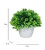 Fabric & Plastic Deborah Green With Pot Set Of 2 Artificial Plant