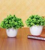 Fabric & Plastic Deborah Green With Pot Set Of 2 Artificial Plant