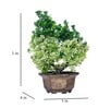 Fabric & Plastic Ams Green With Pot Artificial Plant