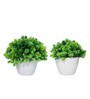Fabric & Plastic Deborah Green With Pot Set Of 2 Artificial Plant
