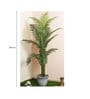 Green Artificial Areca Floor Plant without Pot