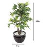 Green Artificial Maple Bonsai Plant with Ceramic Pot