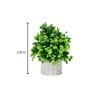 Green Artificial Plants with White Pot
