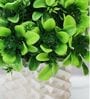 Green Artificial Plants with White Pot