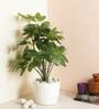 Polyester Green Schefflera Floor Without Pot Artificial Plants