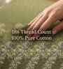 Green Autumn Delight Single 186 TC Cotton With 1 Pillow Cover