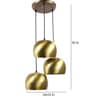 Green Brass 3 Light Cluster Hanging Lamp