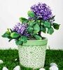 Green Ceramic Ashwani Design With Rd Print Big Planter
