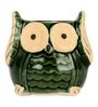 Green Ceramic Owl Shape Flower Pot