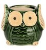 Green Ceramic Owl Shape Flower Pot