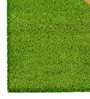 Green Coir Slogan Pattern 24X16 Inch Stain Resistant Door Mat