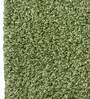 Green Cotton Anti Skid Solid 31 x 20 inch Door Mat