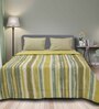 Green Cotton 150 Mild Winter Single Bed Comforter