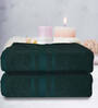 Sea Green Cotton Solid 500 GSM Bath Towels (Set of 2)