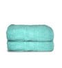 Sea Green Cotton Solid 500 GSM Bath Towels (Set of 2)