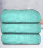 Sea Green Cotton Solid 500 GSM Bath Towels (Set of 3)