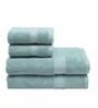 Mint Solid 550 GSM Cotton Towel Sets (Set of 4)