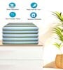 Green Cotton Striped 220 GSM Bath Towels 2 Pc