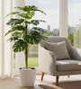 Green Dracaena Artificial Silk Plant Without Pot