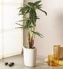 Fabric Green Cyperus Bonsai In A Ceramic Pot Artificial Plants