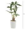 Fabric Green Cyperus Bonsai In A Ceramic Pot Artificial Plants