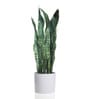 Fabric Green Sansevieria Snake With Pot Artificial Plants