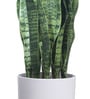 Fabric Green Sansevieria Snake With Pot Artificial Plants