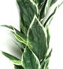 Green Fabric Hosta Artificial Plant without Pot