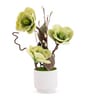 Green Faux Leather Rustic Blossom Harmony Pot With Flower