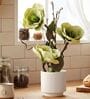 Green Faux Leather Rustic Blossom Harmony Pot With Flower
