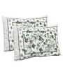 Green Cotton Floral 144 TC  King Bedsheet with 2 Pillow Covers