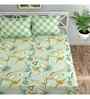 Green Floral 144 TC Cotton King Fitted Bedsheet Bedsheet 2 Pillow Prime Collection