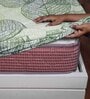 Green Floral 144 TC Cotton King Fitted Bedsheet with 2 Pillow Covers