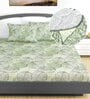 Green Floral 144 TC Cotton King Fitted Bedsheet with 2 Pillow Covers