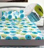 Green Floral 144 TC Cotton King Fitted Bedsheet with 2 Pillow Covers