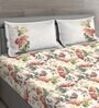 Green Floral 150 TC Cotton Queen Sized Bed Sheets with 2 Pillow Covers