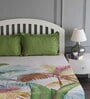 Green Floral 180 TC Cotton Queen Sized Bed Sheets with 2 Pillow Covers