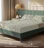Green Floral 200 TC Microfiber King Sized Bedsheet with 2 Pillow Covers