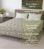Green Floral 400 TC Cotton Super King Bedsheet with 2 Pillow Covers Luxury Series Collection