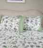 Green Fruit Print 200 TC Cotton Double Bed Sheet with 2 Pillow Covers Sensory Bloom Collection