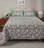 Green Fruit Print 200 TC Cotton King Size Bed Sheet with 2 Pillow Covers Sensory Bloom Collection