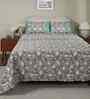 Green Fruit Print 200 TC Cotton Single Bed Sheet with 1 Pillow Cover Sensory Bloom Collection