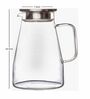 Elegant Glass Jug